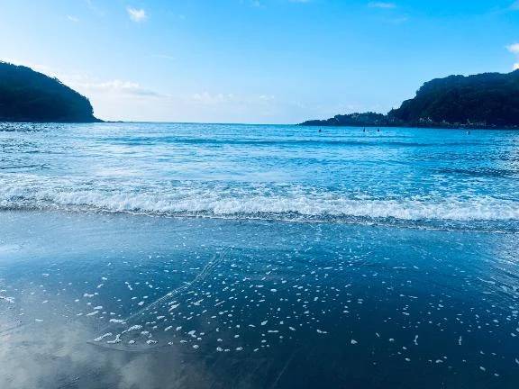 初めまして(=・ω・）ノ