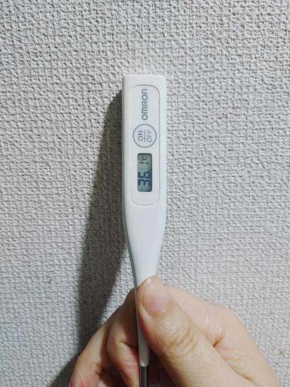 おはようございます。