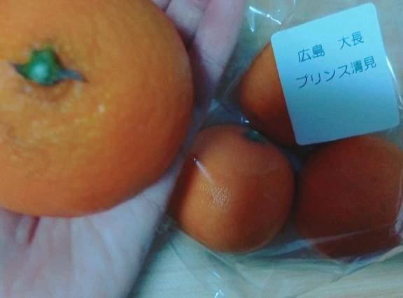 薄いのが好き♪