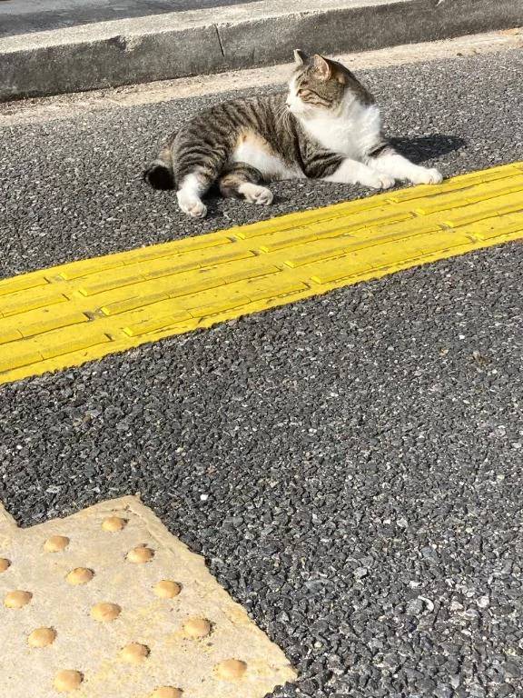 [お題]寒過ぎて。