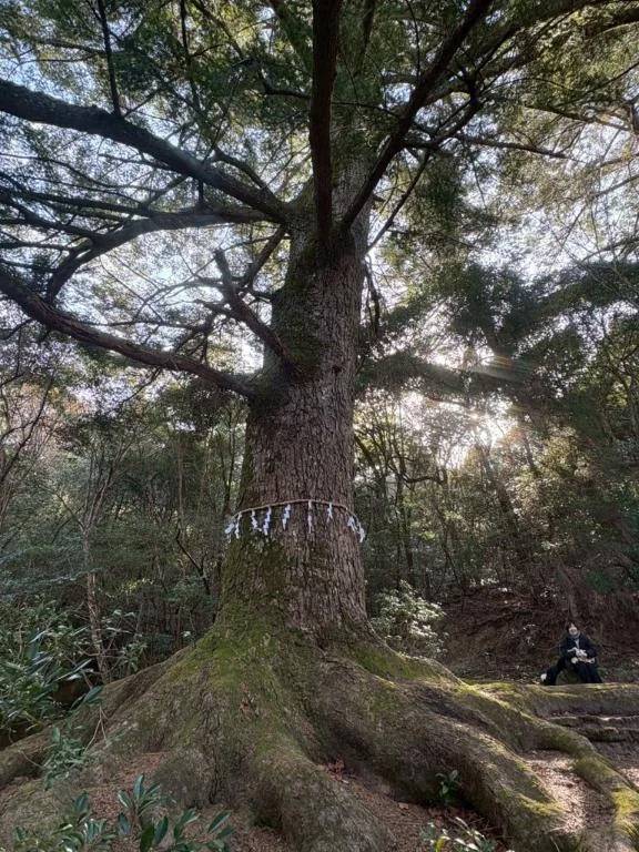 出勤しました♡