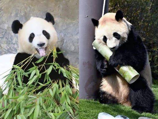 寂しいけど嬉しい😄