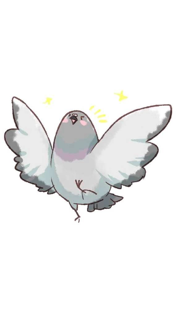 【アニマル診断】今日の運勢ランキング