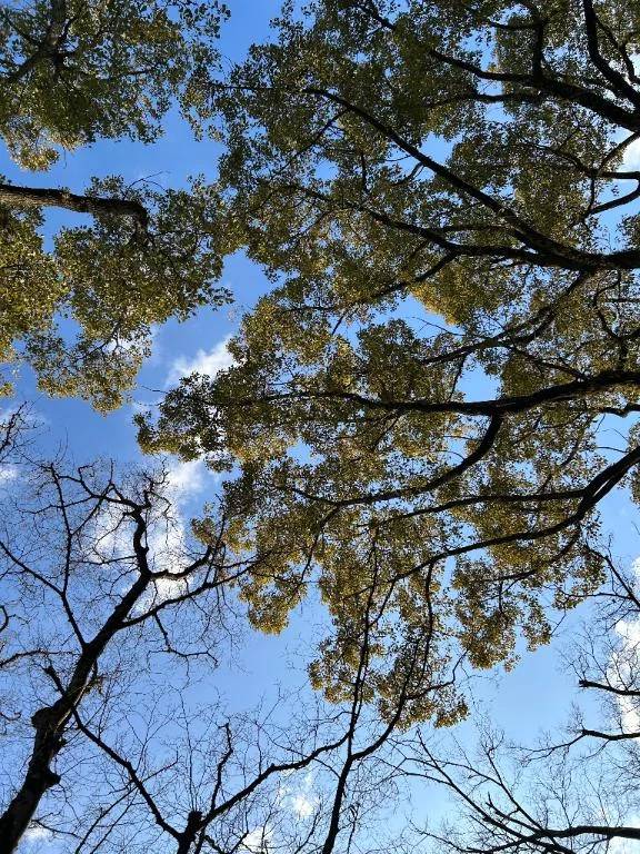 おはようございます