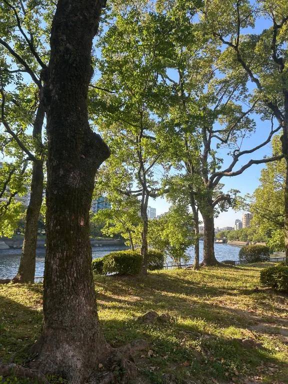 おはようございます