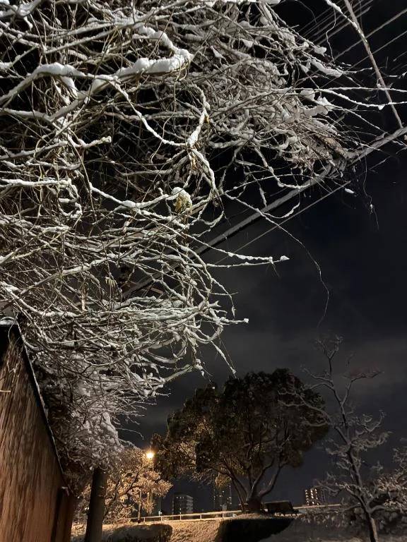 外はあまり寒くなかったけど💦