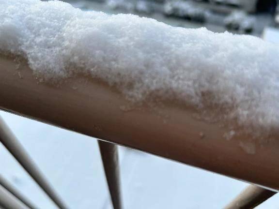 おはようございます⛄️