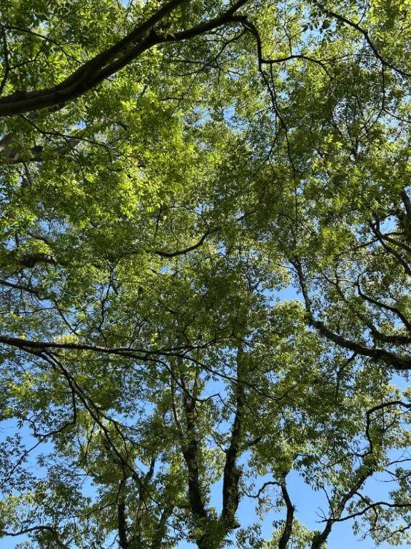 おはようございます