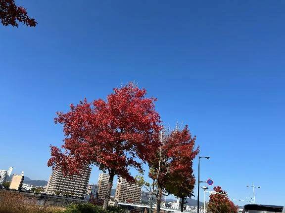 おはようございます