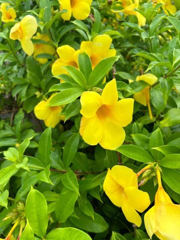 おはようございます