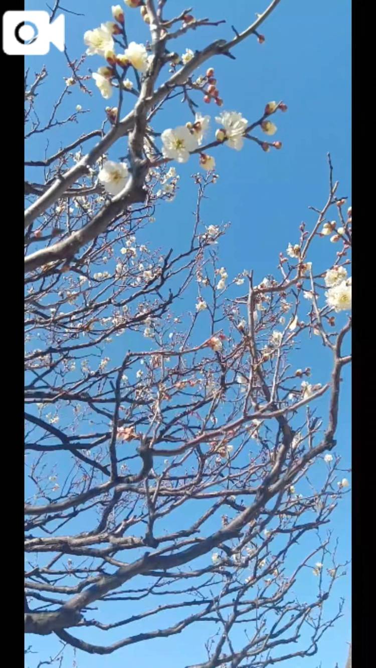 出勤のお知らせです♪