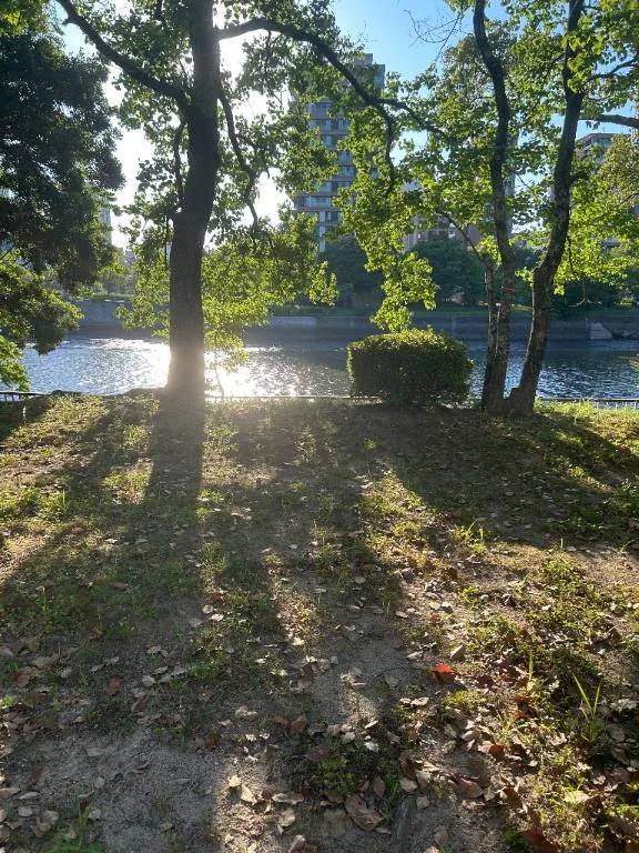 おやすみなさい