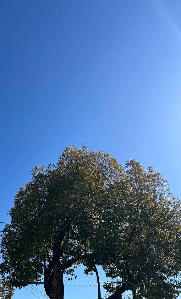 おはようございます