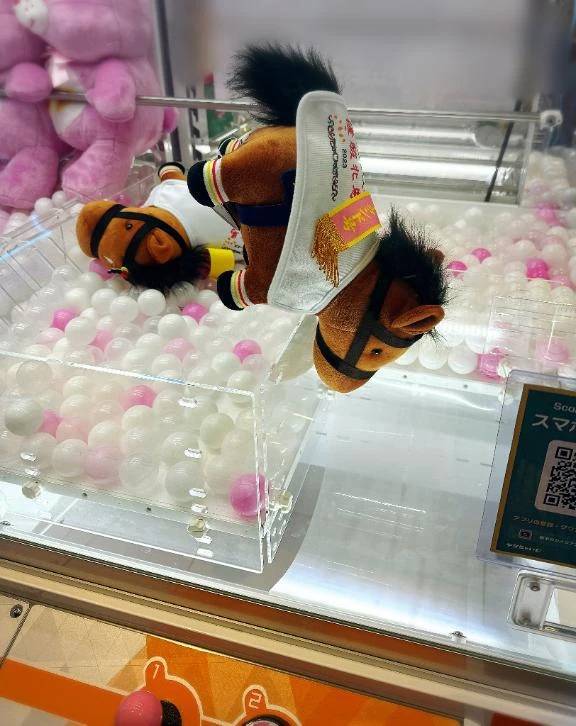 うれちぃ( *ᐢ´꒳`ᐢ* )