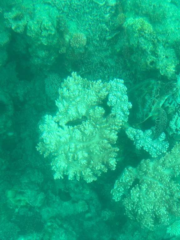 おはようございます(*^^*)