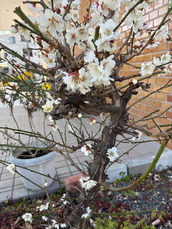 おはようございます♡♡