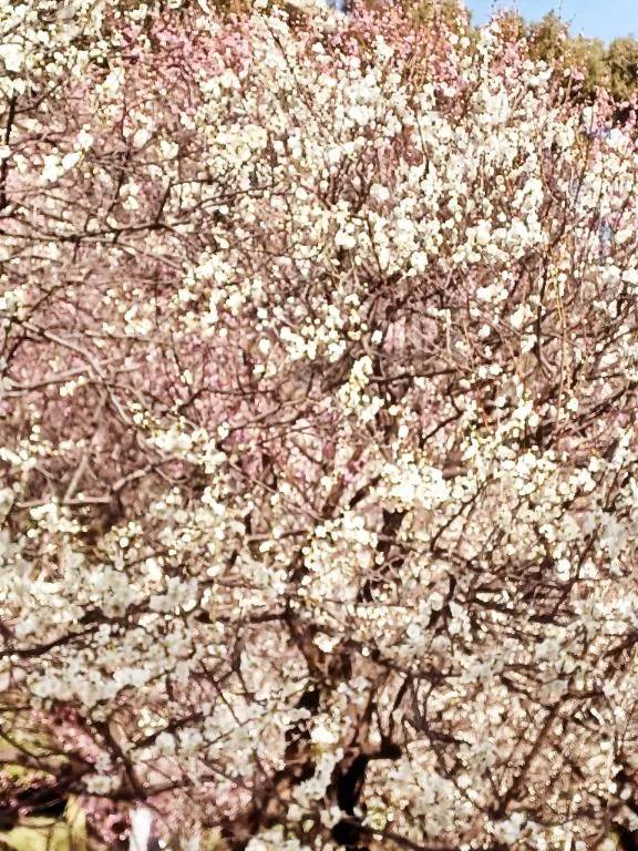 好きなもの♪︎