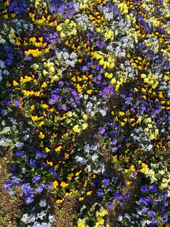 おはようございます♡♡