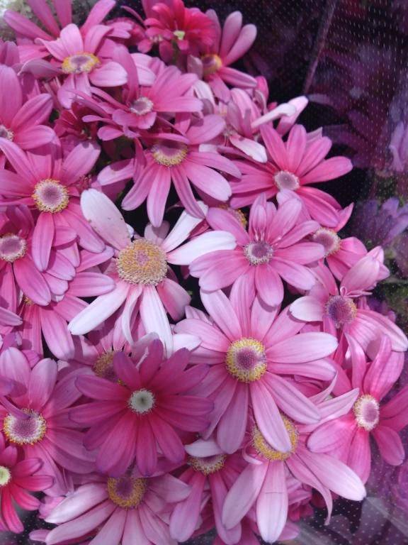 ビジネスのお兄様へ❤️