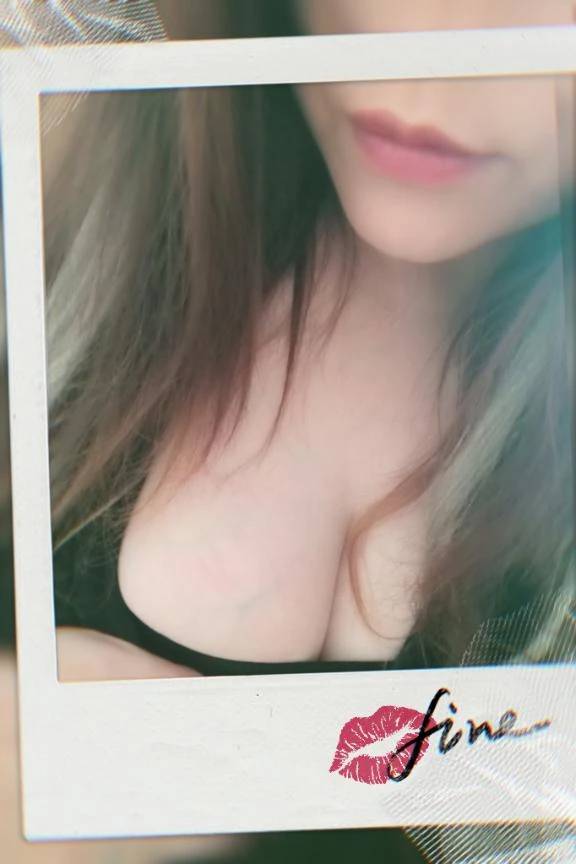 セキセイインコ🐦