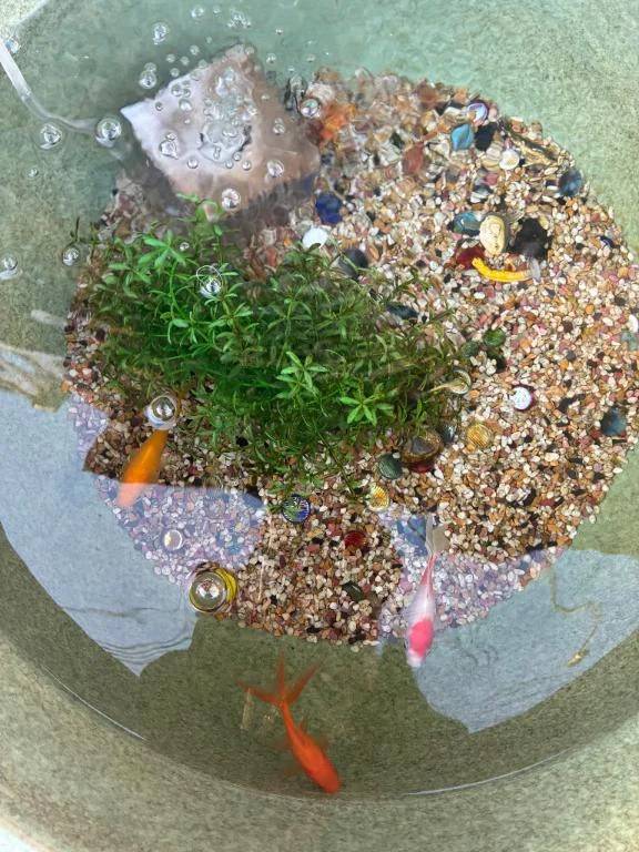 今日は申し訳ありません🙇‍♀️