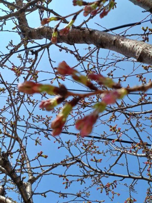 ド真ん中だね♪