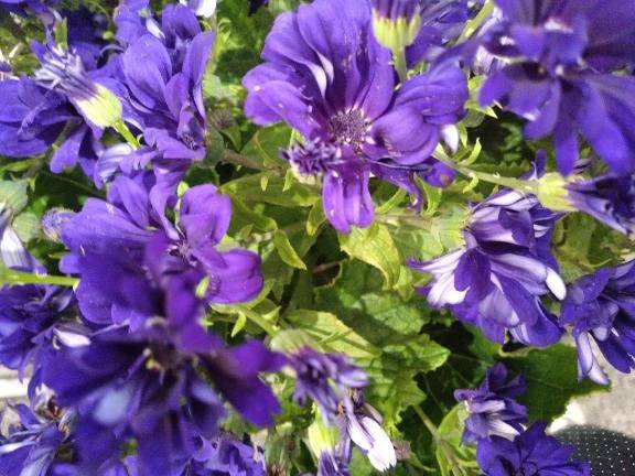 ご自宅のお兄様へ❤️