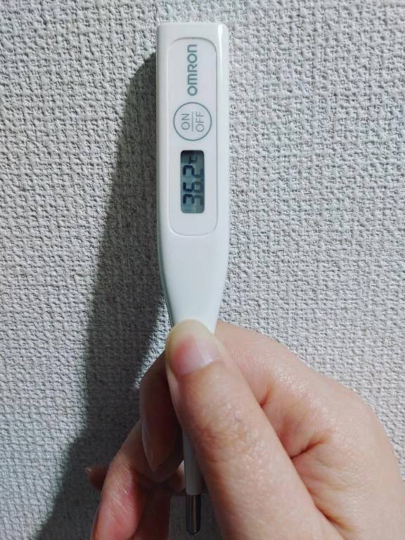 おはようございます。