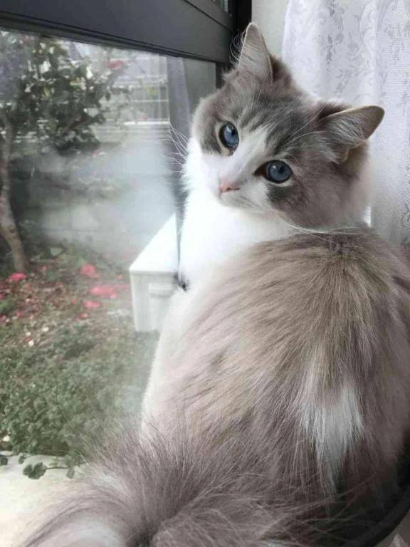 本日お休みになりました