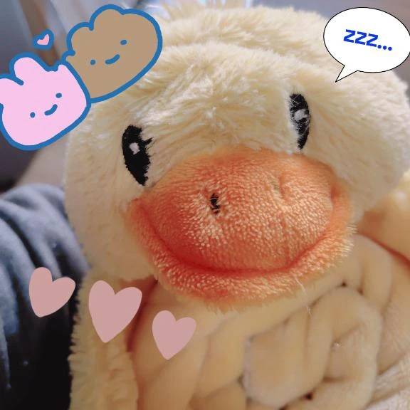 おやすみ ( ¯꒳¯ )ᐝ