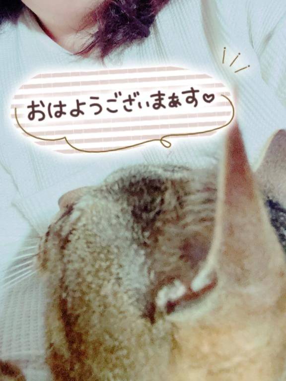 おはようございます☀️