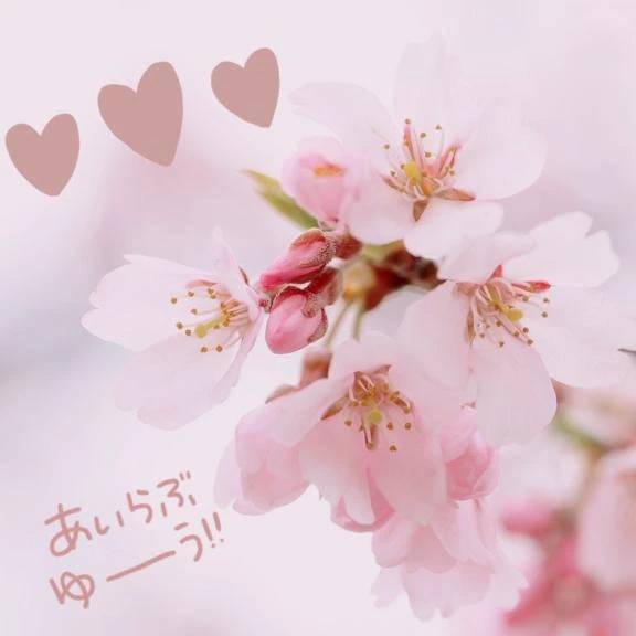 今日から 4月っ