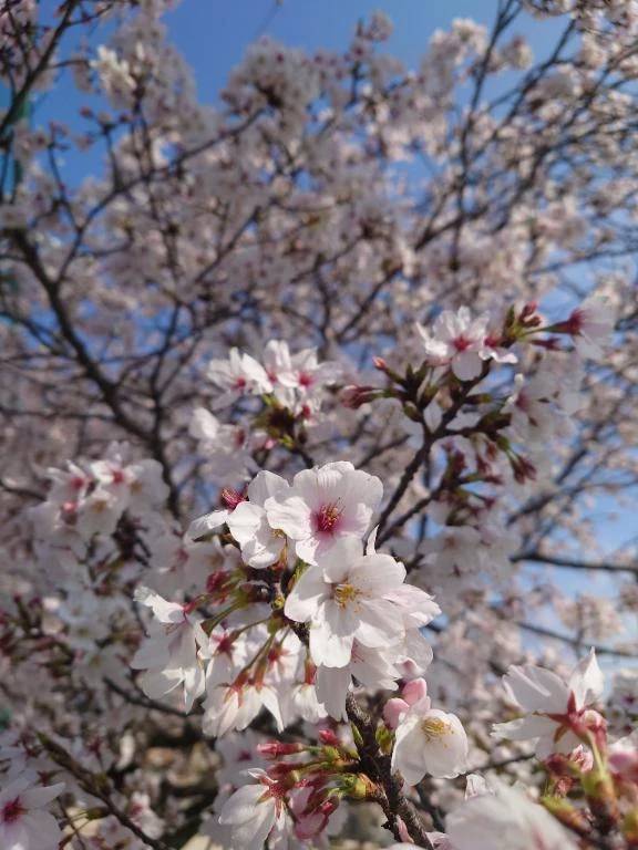 昨日はごめんなさい