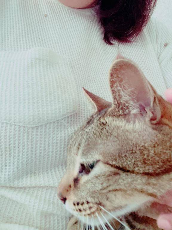 今日も見てくれて