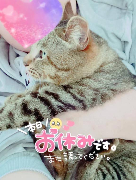 おはようございます