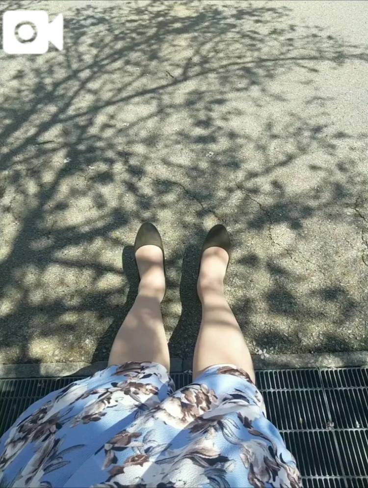 今年は、、、