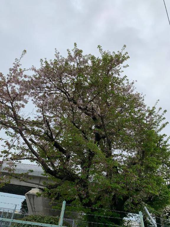 雨が降る前に❤️‍🔥