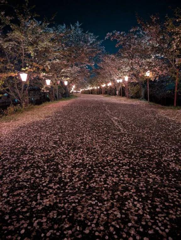 おはようございます♪