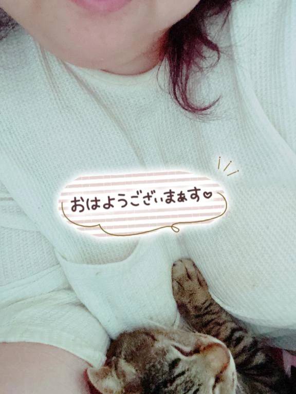 朝〜
