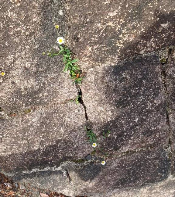 今週の出勤です♪︎