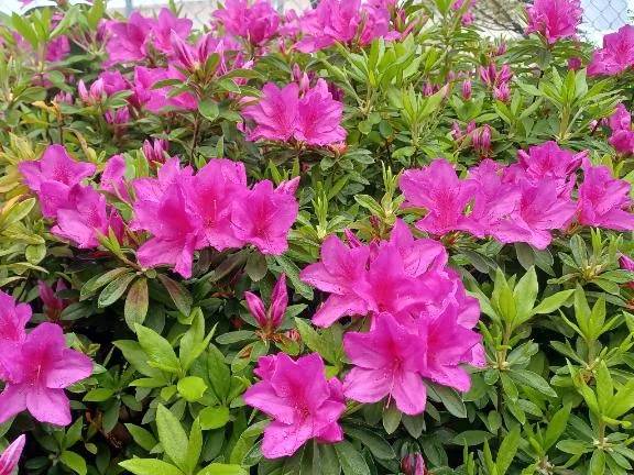 エッチな夜に♪︎