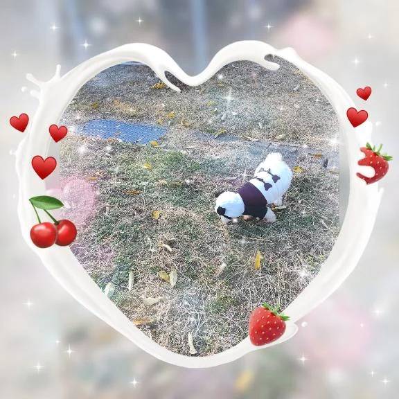 離れない💓