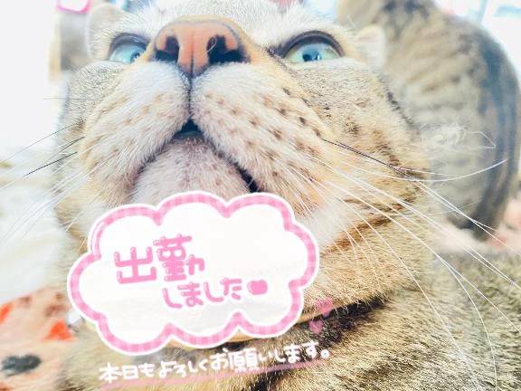 出勤しました！