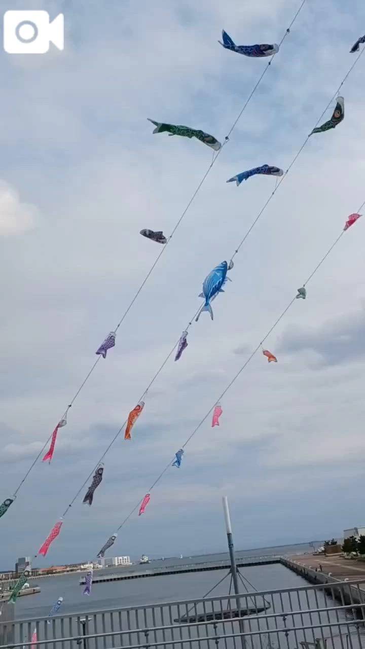 明日はこどもの日🎏