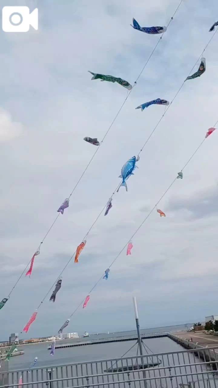 こいのぼり♪