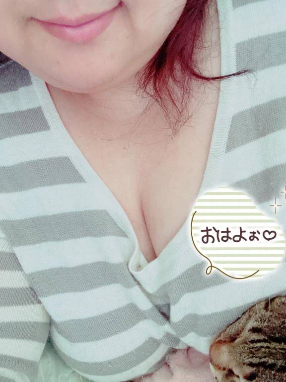 連休最終日の朝