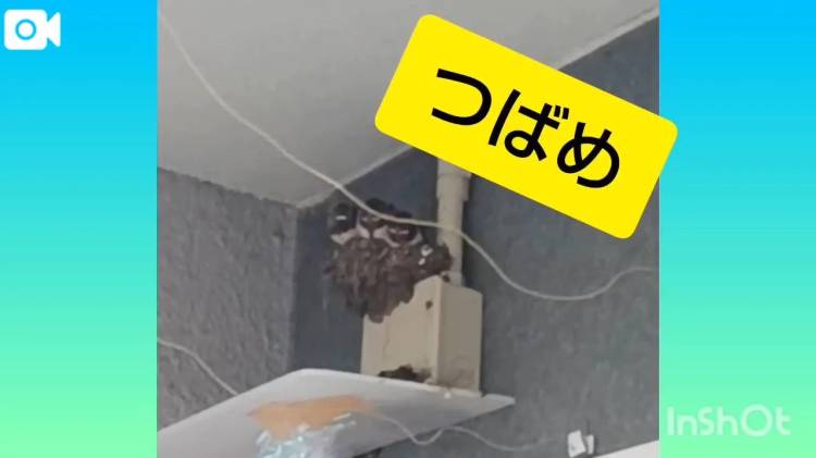 ひといき入れてね♪