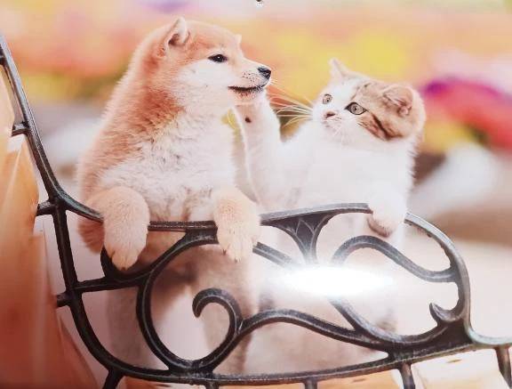 口コミありがとう♪︎