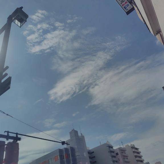 午前は 晴れ ？