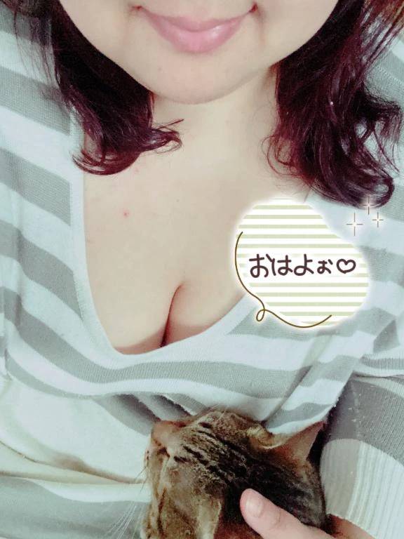 今朝の天気